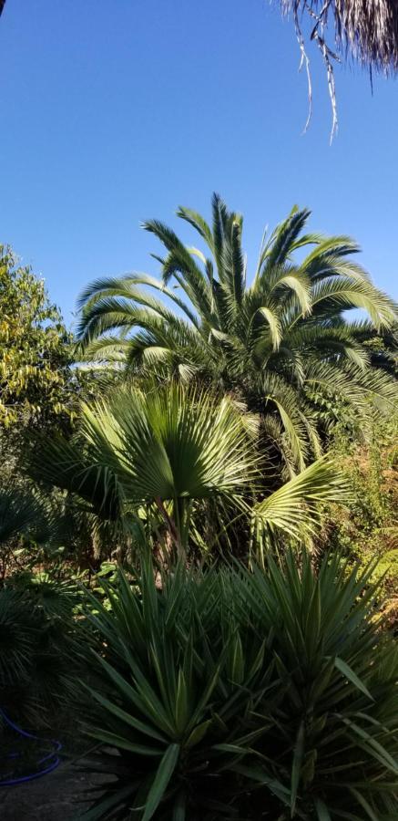 La Casita De La Vega
