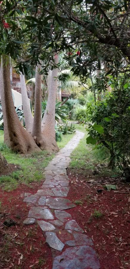 Apartamento La Casita De La Vega *