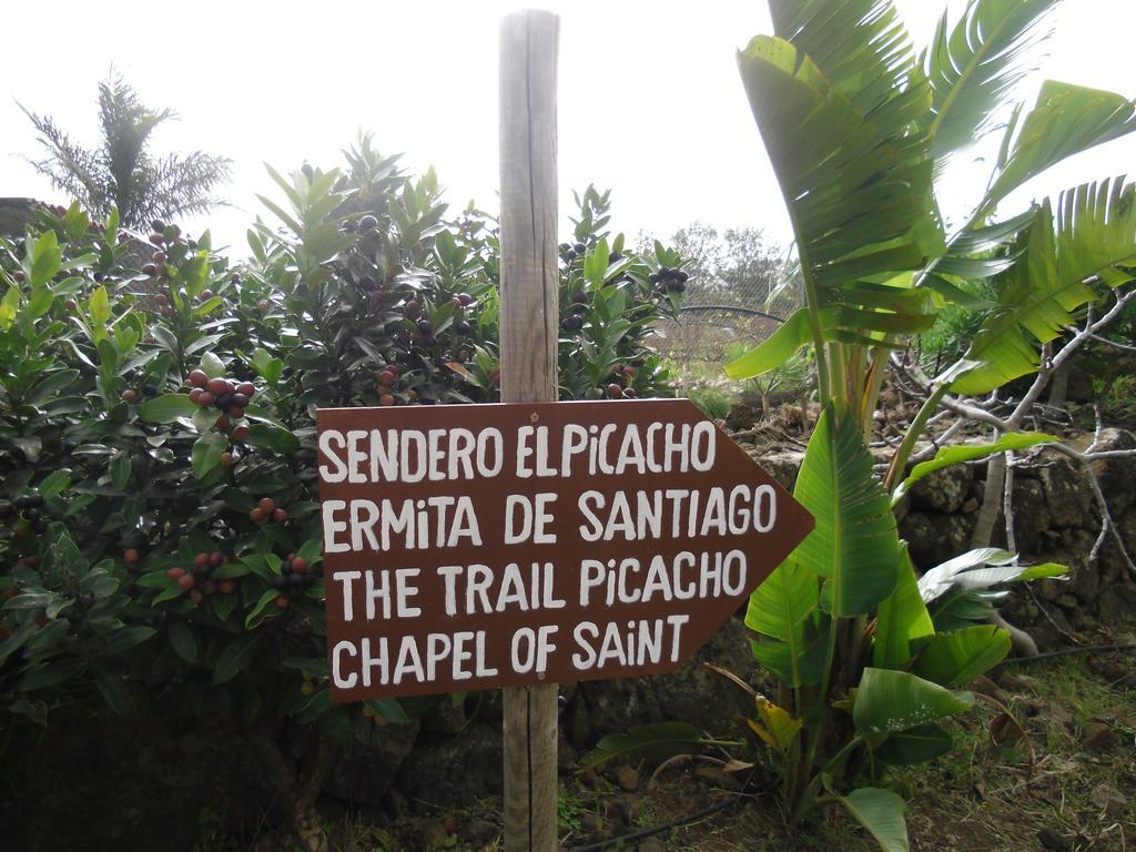 El Picacho In The Countryside 2 Km From The Appartement Tejina