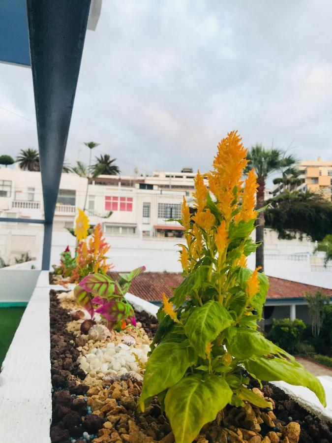 Tropical Apartamento, Zona Taoro Puerto De La Cruz