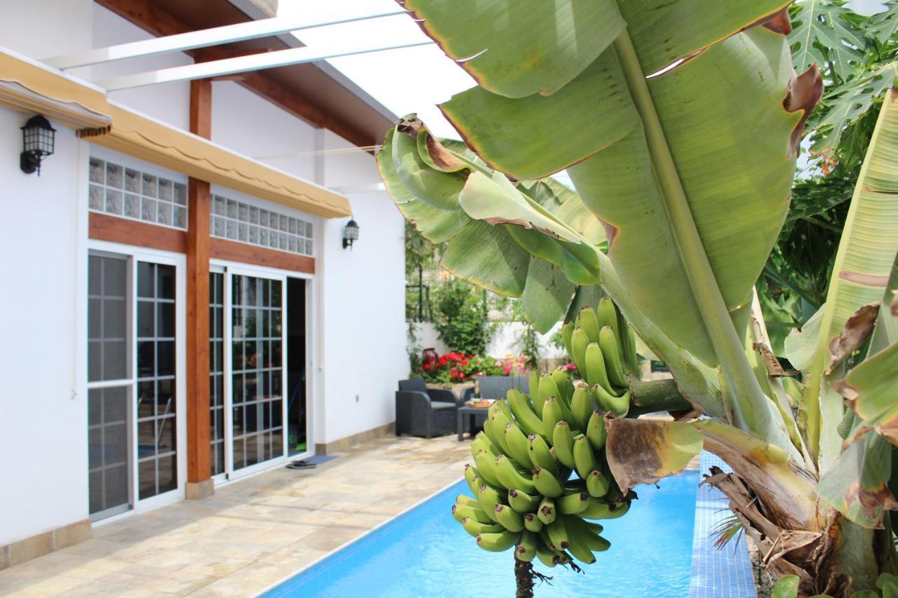 Сasa de vacaciones Casa El Olivo, Tenerife