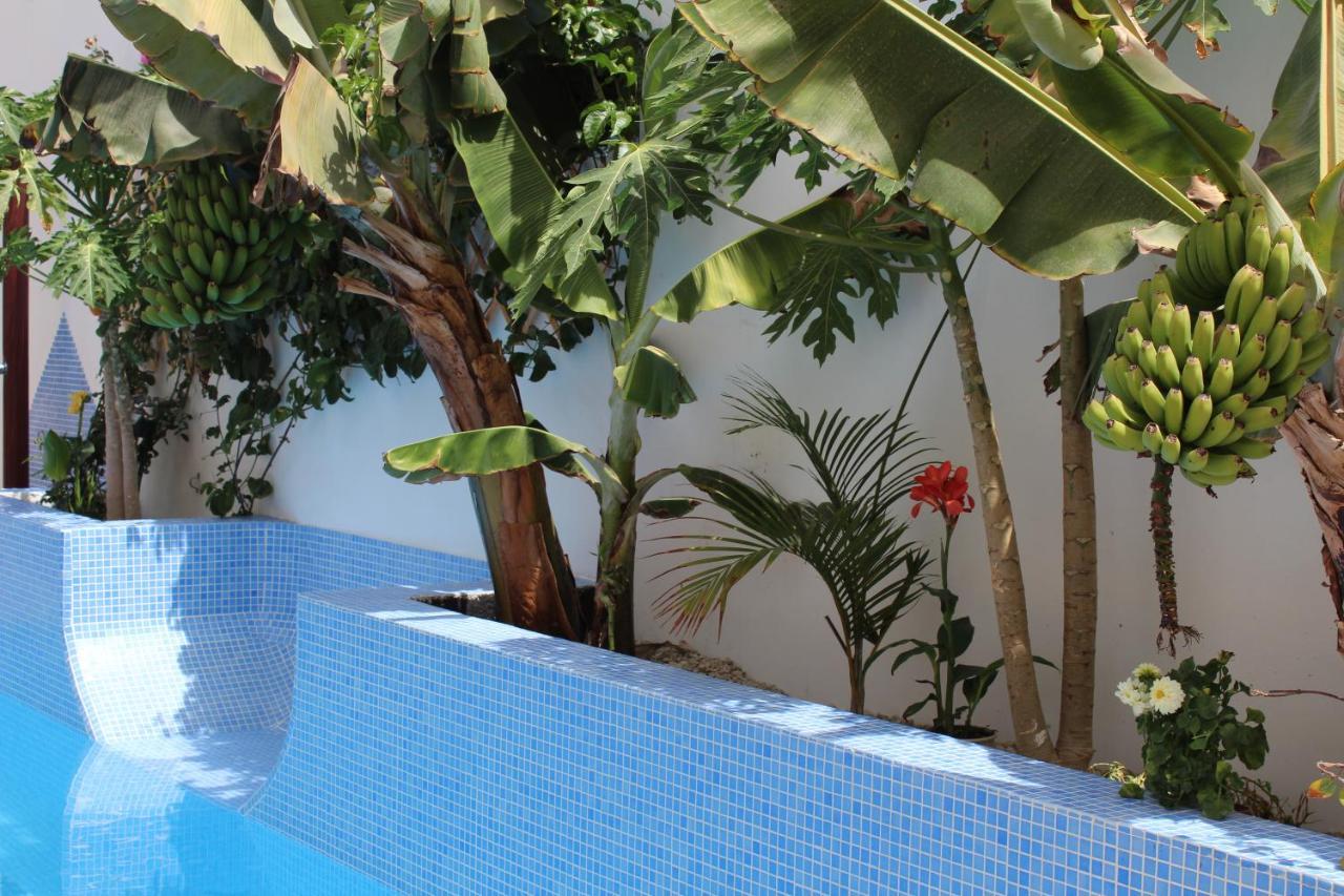 Casa El Olivo, Tenerife Сasa de vacaciones Valle de San Lorenzo