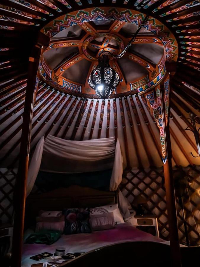 Luxury tent Yurta De Arico *