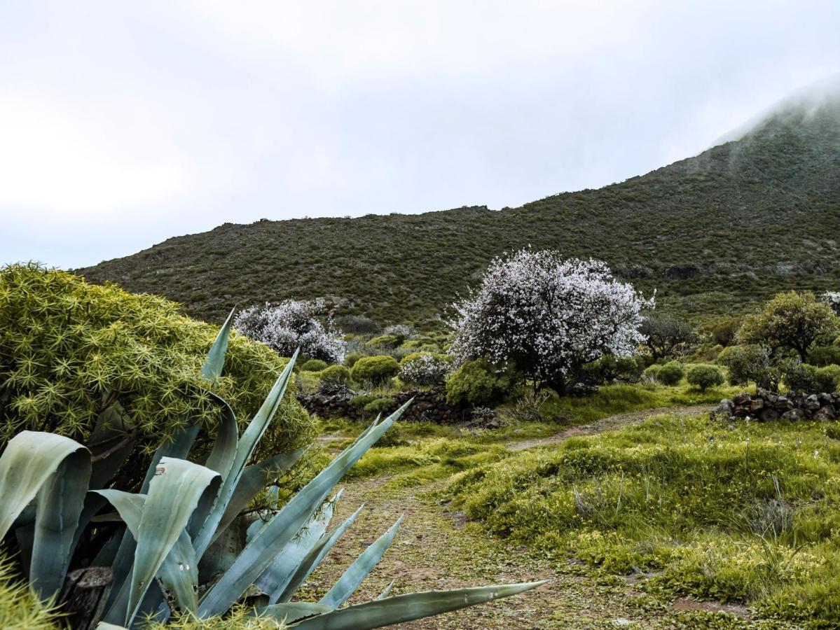 Luxury In Nature With Swimming Pool Tenerife, Santiago Del Teide, With Sea And Mountain Views El Retamar