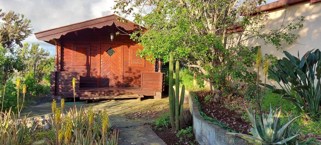 Casa Canarina *