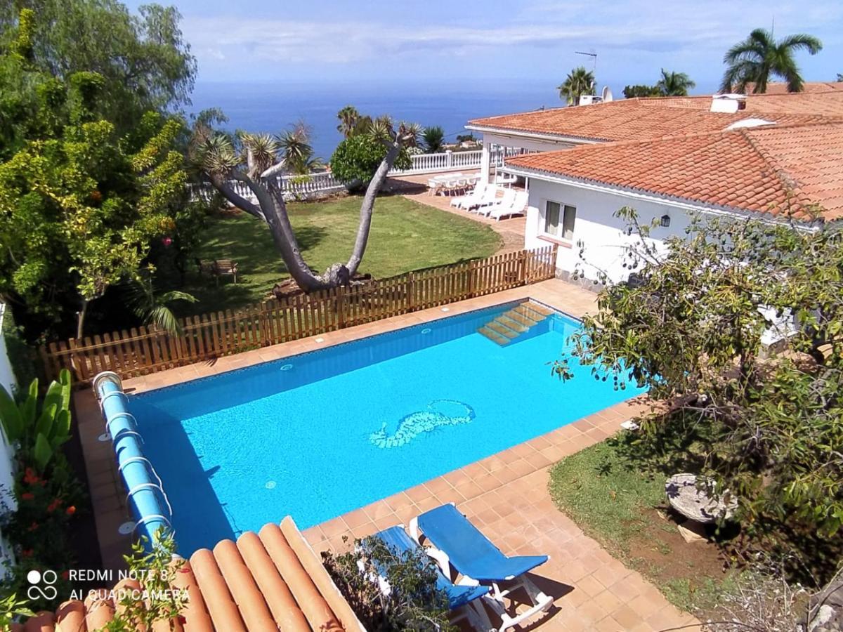Dragos Santa Ursula (Tenerife)