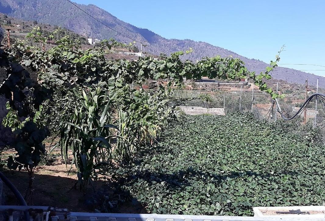 Lodge Rustica En Arafo
