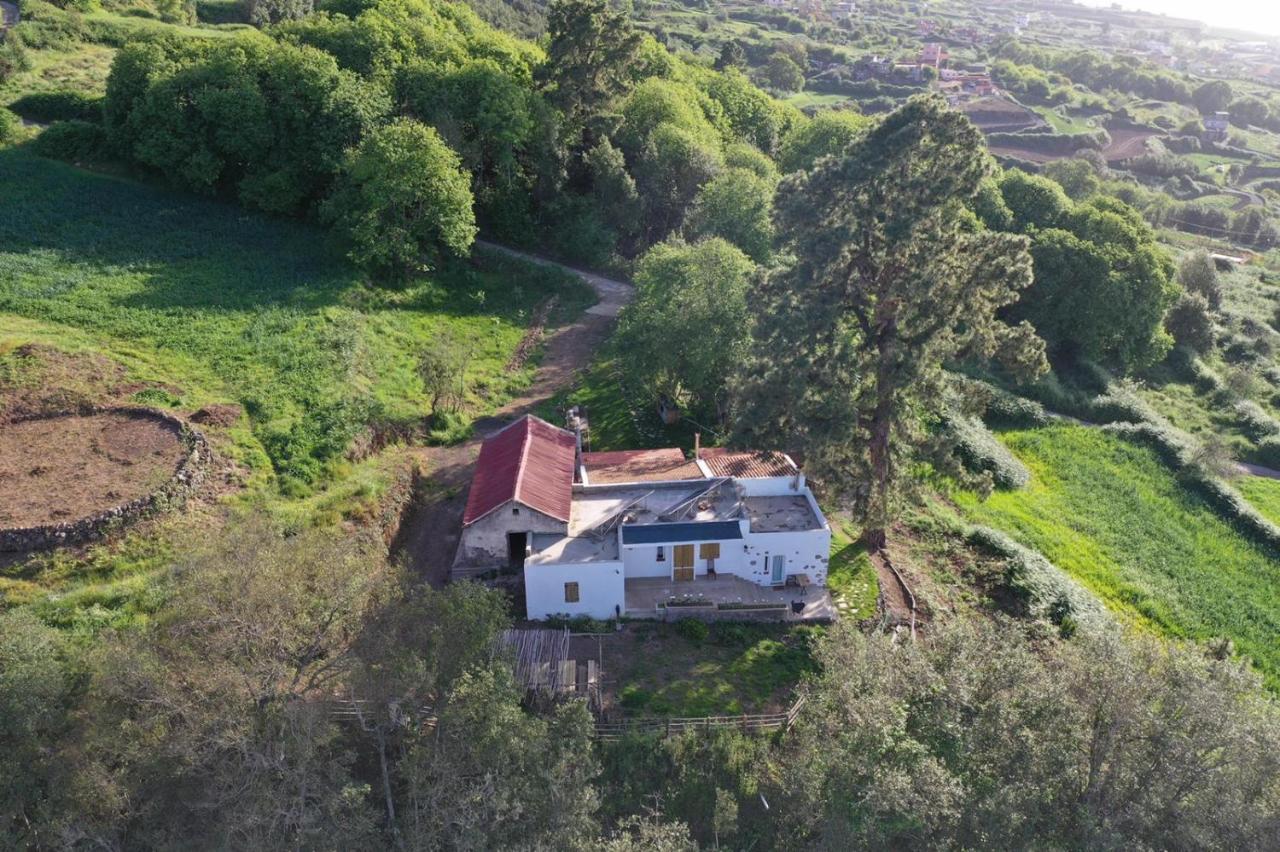 Chalet El Pino Centenario 4