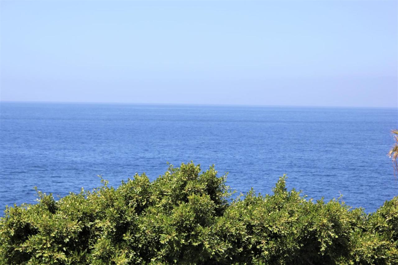 Con Vistas, Playa Y Wifi Appartement