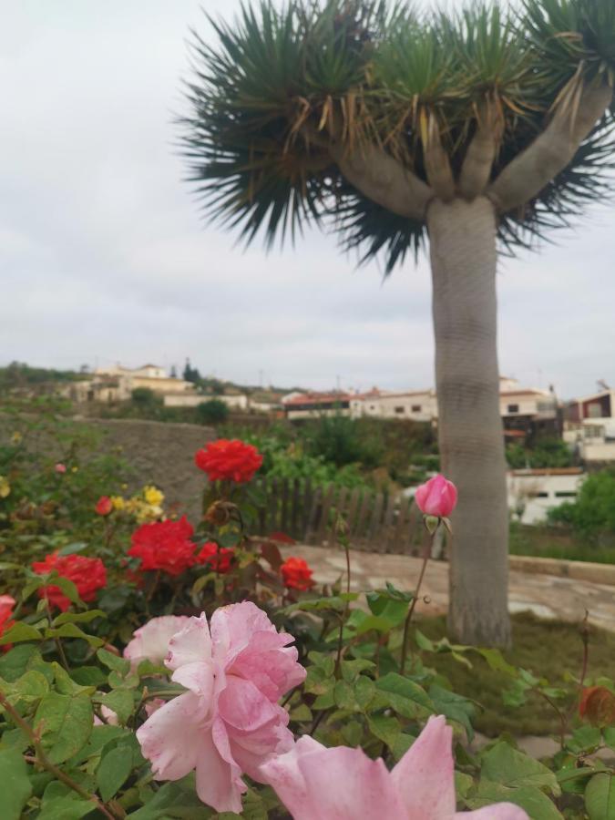 Dolores En Adeje Hébergement de vacances