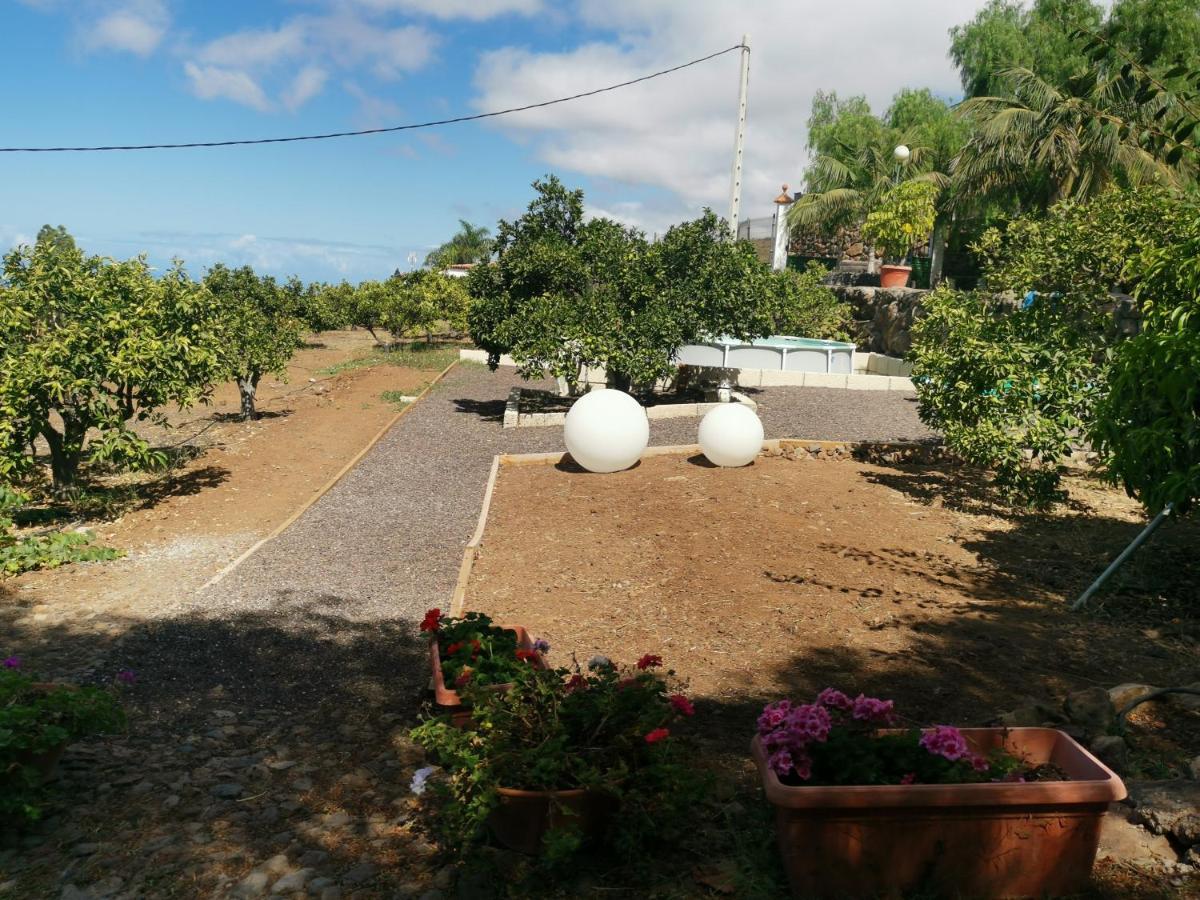 Hébergement de vacances Dolores En Adeje Costa Adeje (Tenerife)