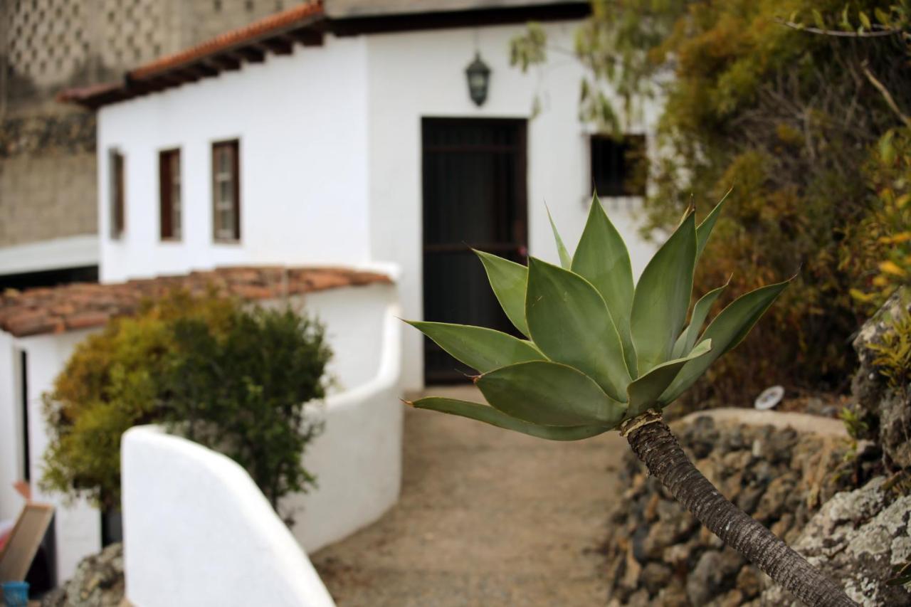 Bodeguita - Tabaiba By Tor * Icod De Los Vinos
