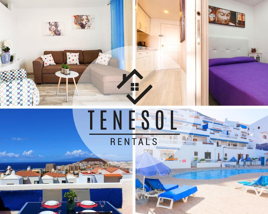 Apartamento Port Royal 1 Bedroom - Tenesol