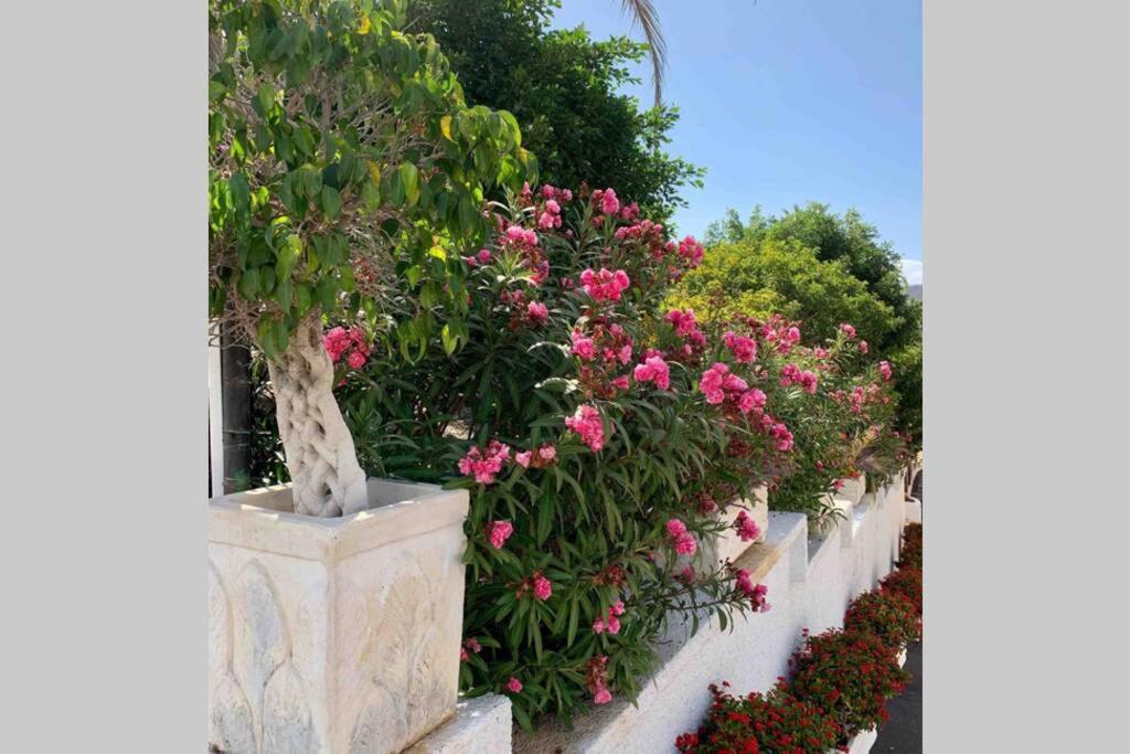 Apartment Guayero, Bel A 50m De La