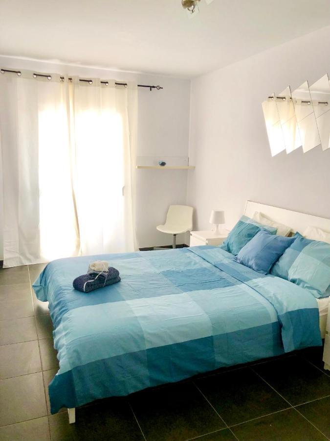 Buho Cristianos Los Cristianos (Tenerife)