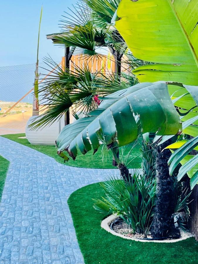 Arico Cave Experience Añaterve Camping Santa Cruz de Tenerife