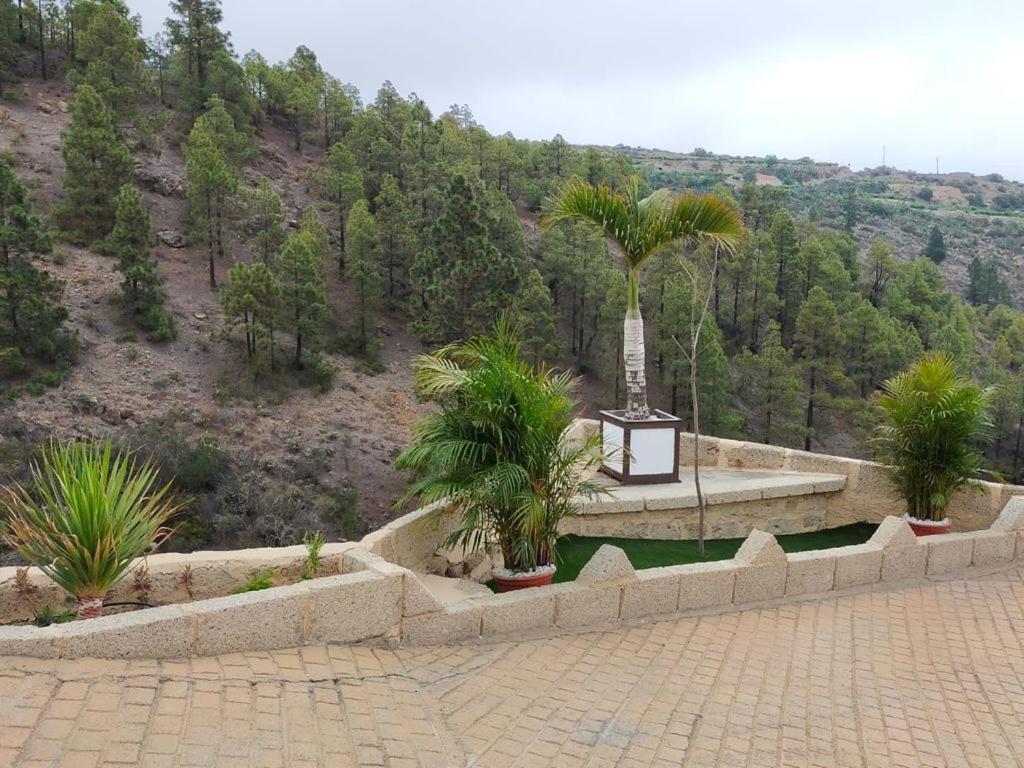 Arico Cave Experience Maday Camping