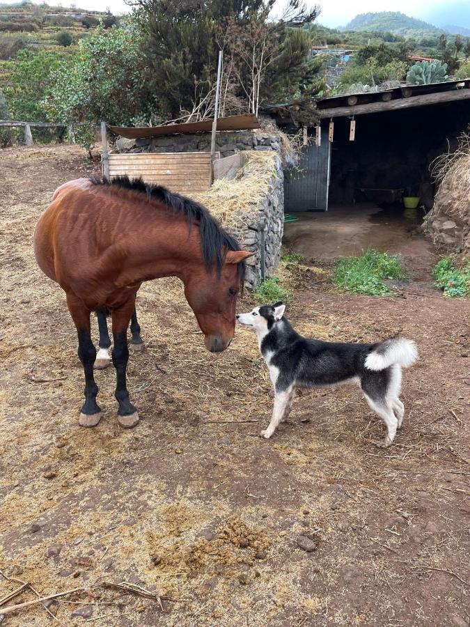 Country house Rural House Tenerife Relax And Enjoy Santa Ursula (Tenerife)