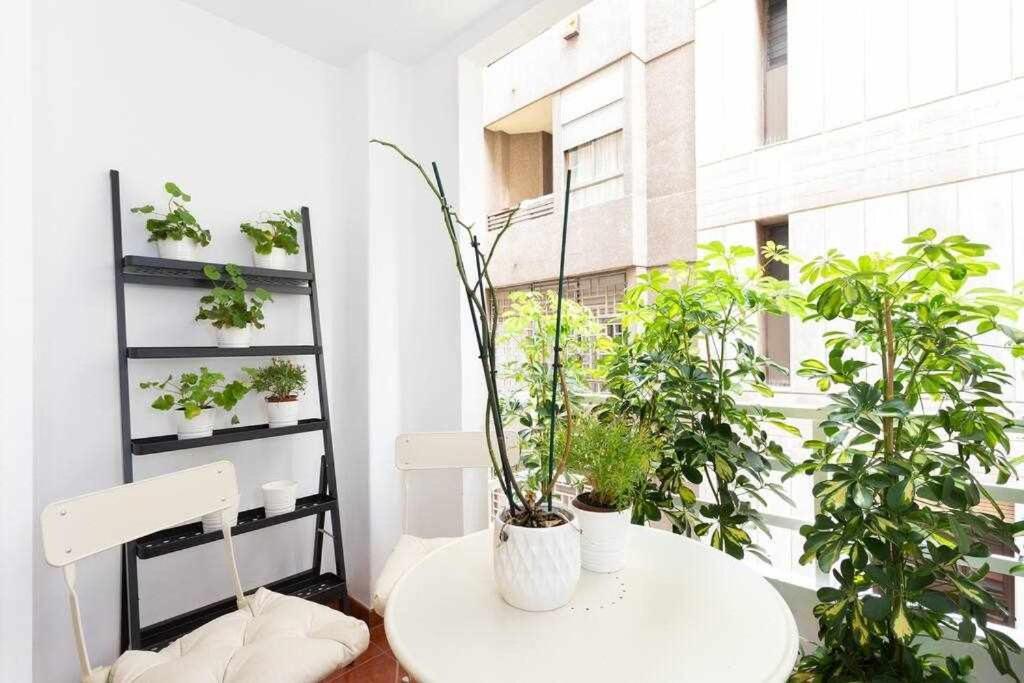 Sabino Dreams Cruz Apartment Santa Cruz de Tenerife