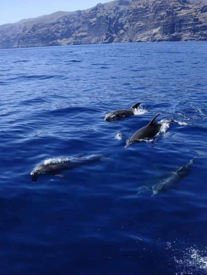 Apartamento Cerca De La Playa Acantilado de los Gigantes