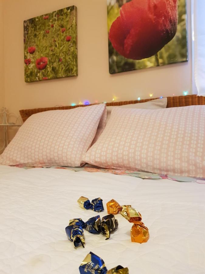 Guest house The Poppies Private Space 100M Ocean