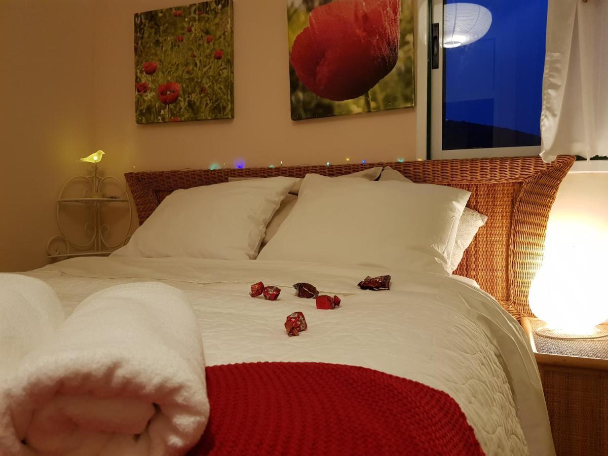 Guest house The Poppies Private Space 100M Ocean Candelaria