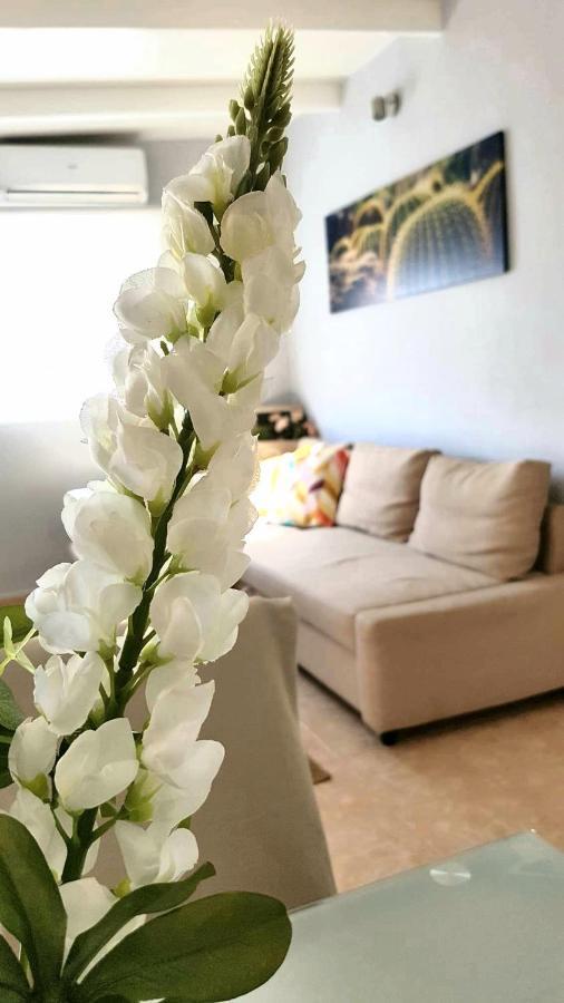 Atico En El Corazon De Cruz/ Cozy Penthouse Appartement *