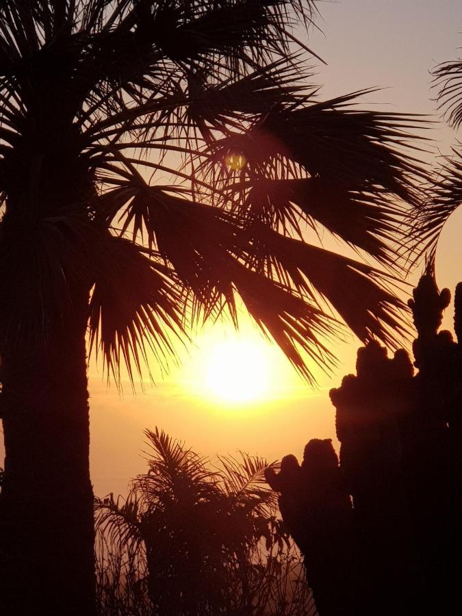 Sol Y Mar Mit Grandiosem Meerblick * Costa Adeje (Tenerife)