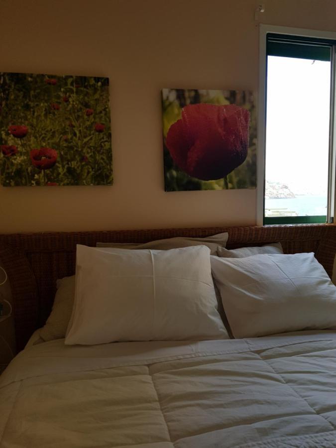 The Poppies Private Space 100M Ocean Guest house Candelaria