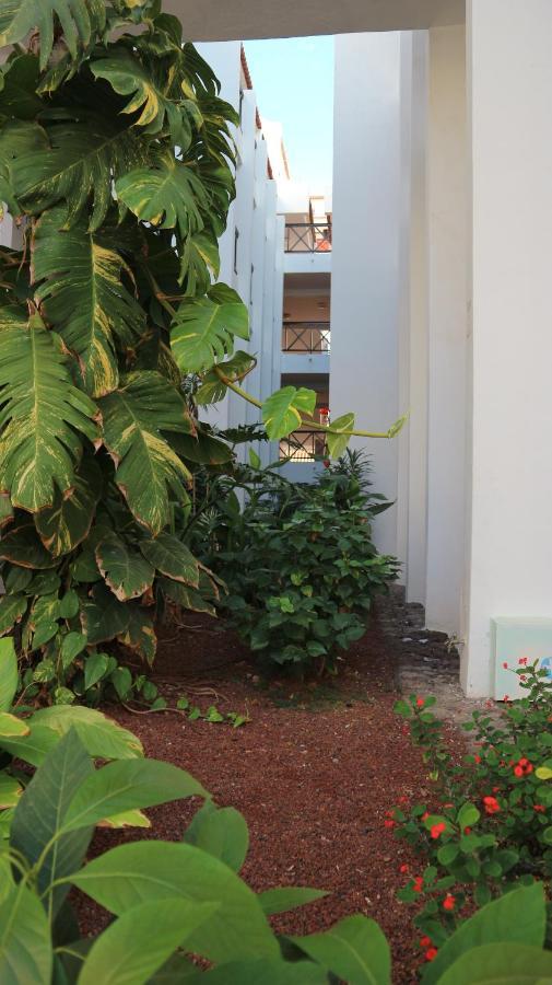 En Tenerife Sur, Parque Santiago 2 Appartement Arona (Tenerife)