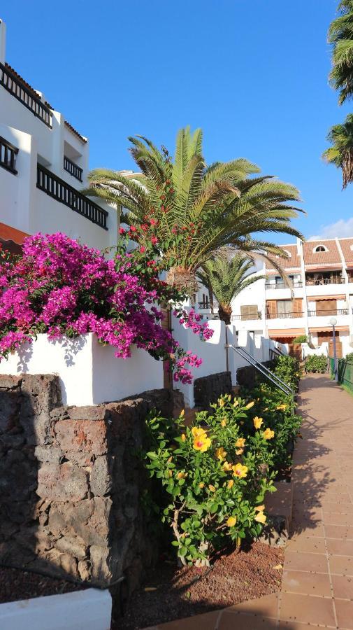 En Tenerife Sur, Parque Santiago 2 * Arona (Tenerife)