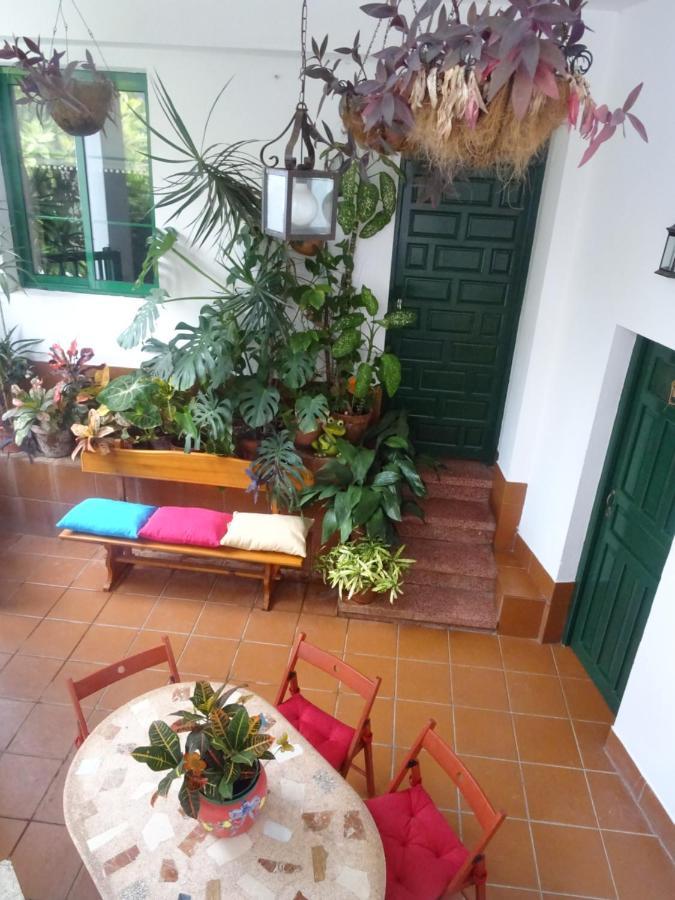 Hébergement de vacances Casa La Poyata - Taganana