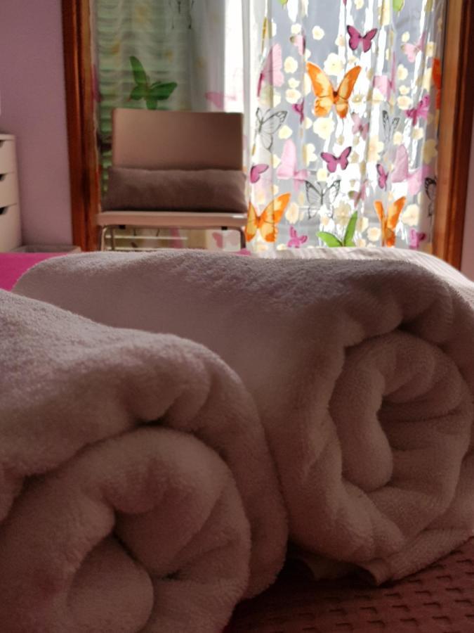 Guest house La Calma - Sea View - Private Spaces 100m Candelaria