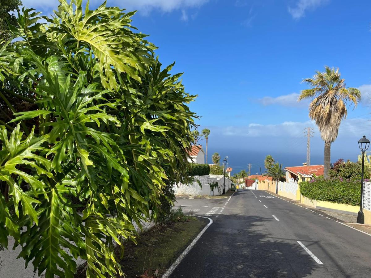 Studio Sea Front View & Pool Tacoronte