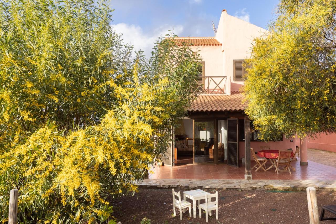 Home2book Amazing Teide View & Terrace