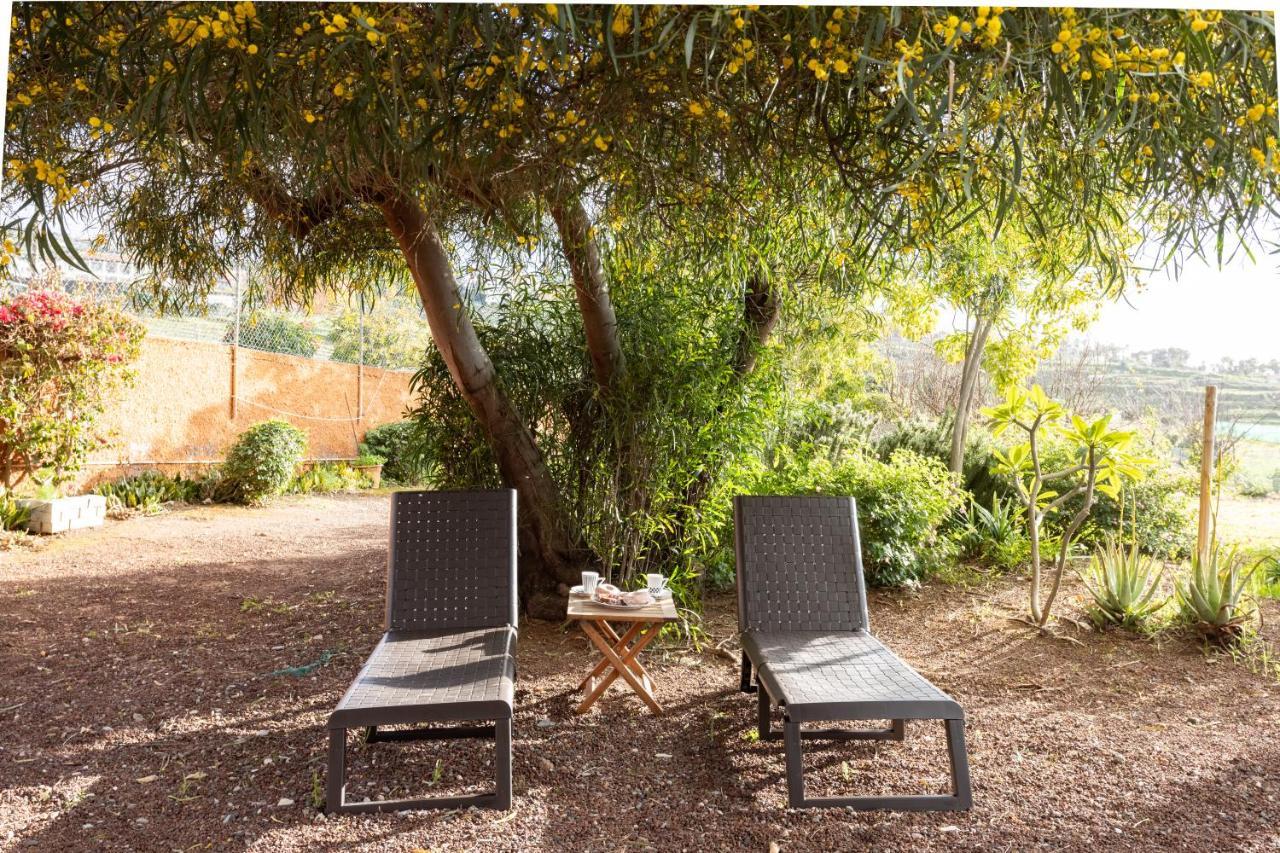 Home2book Amazing Teide View & Terrace Hébergement de vacances El Sauzal