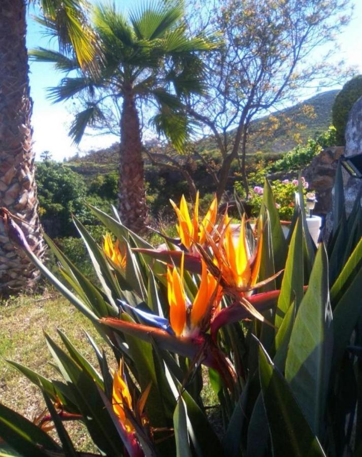 Сasa de vacaciones La Casita Ma Petite Folie Tenerife *