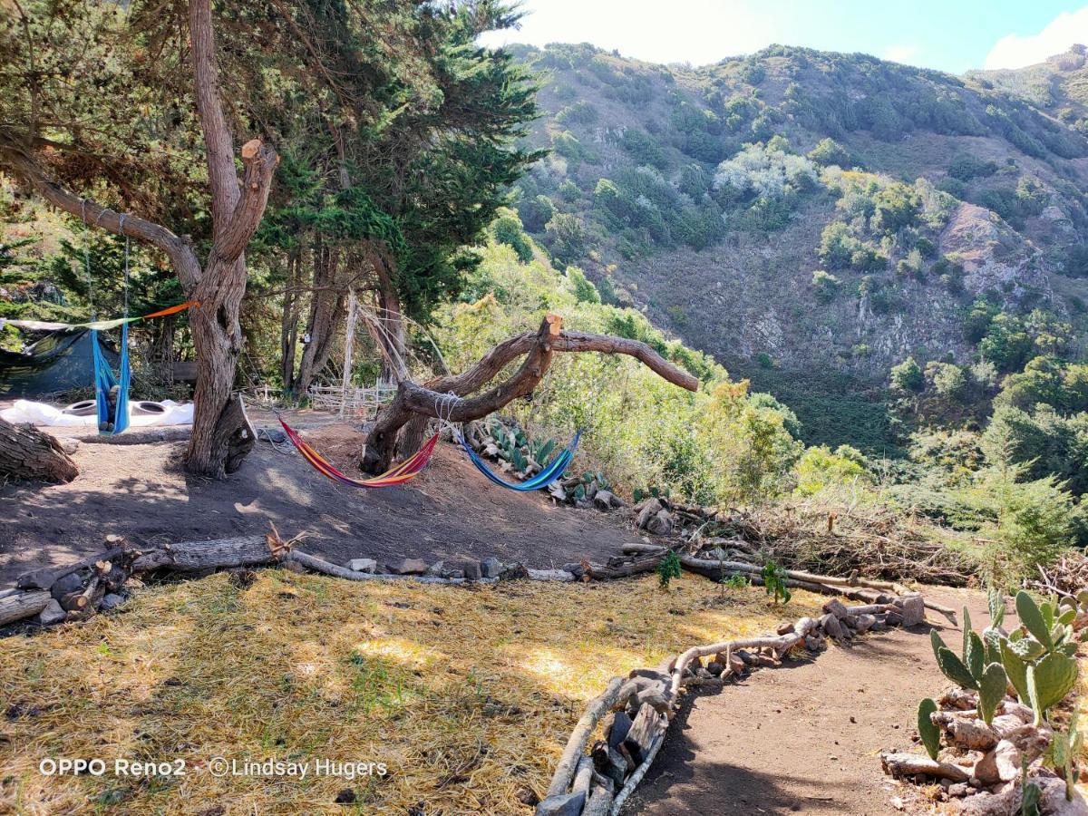 Free Canari - Los Alamos 8 Luxury tent Tegueste