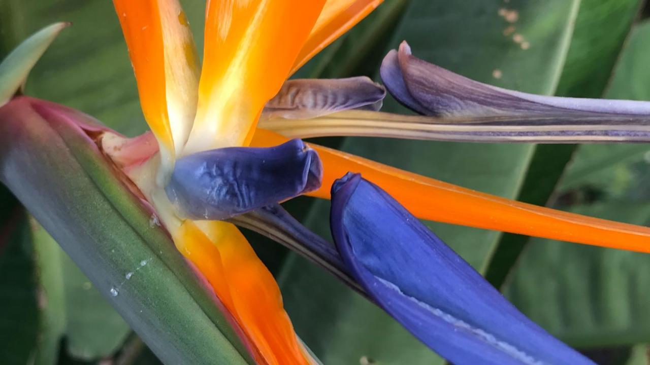 Casaenos Granadilla De Abona