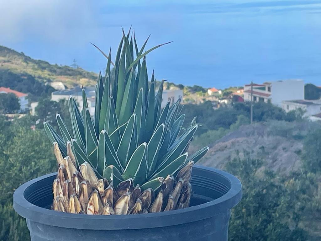 La Casa De Mami Hébergement de vacances El Tanque