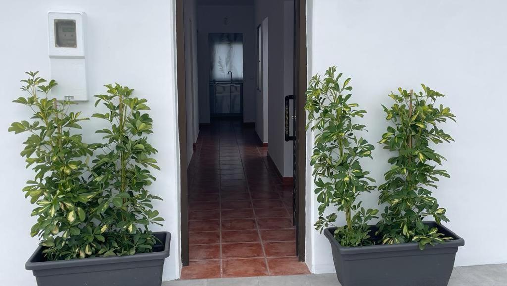 Hébergement de vacances La Casa De Mami *