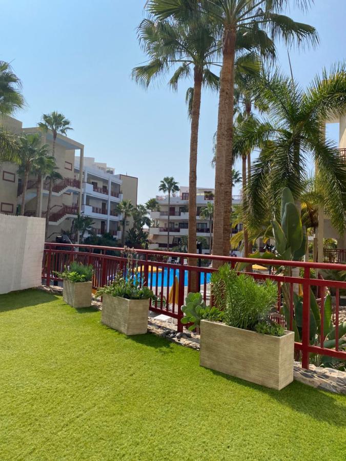 Appartement Ruisenor En Palm-mar