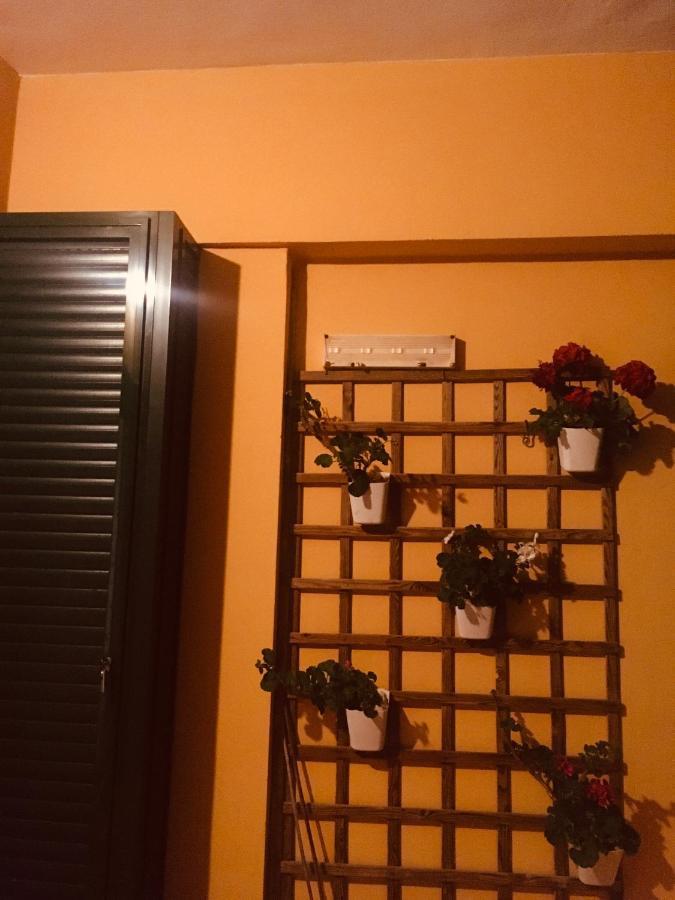 Apartamento Roques La Laguna (Tenerife)