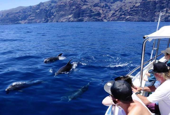 Incleibles Vistas Al Océano Y Piscina. Acantilado de los Gigantes