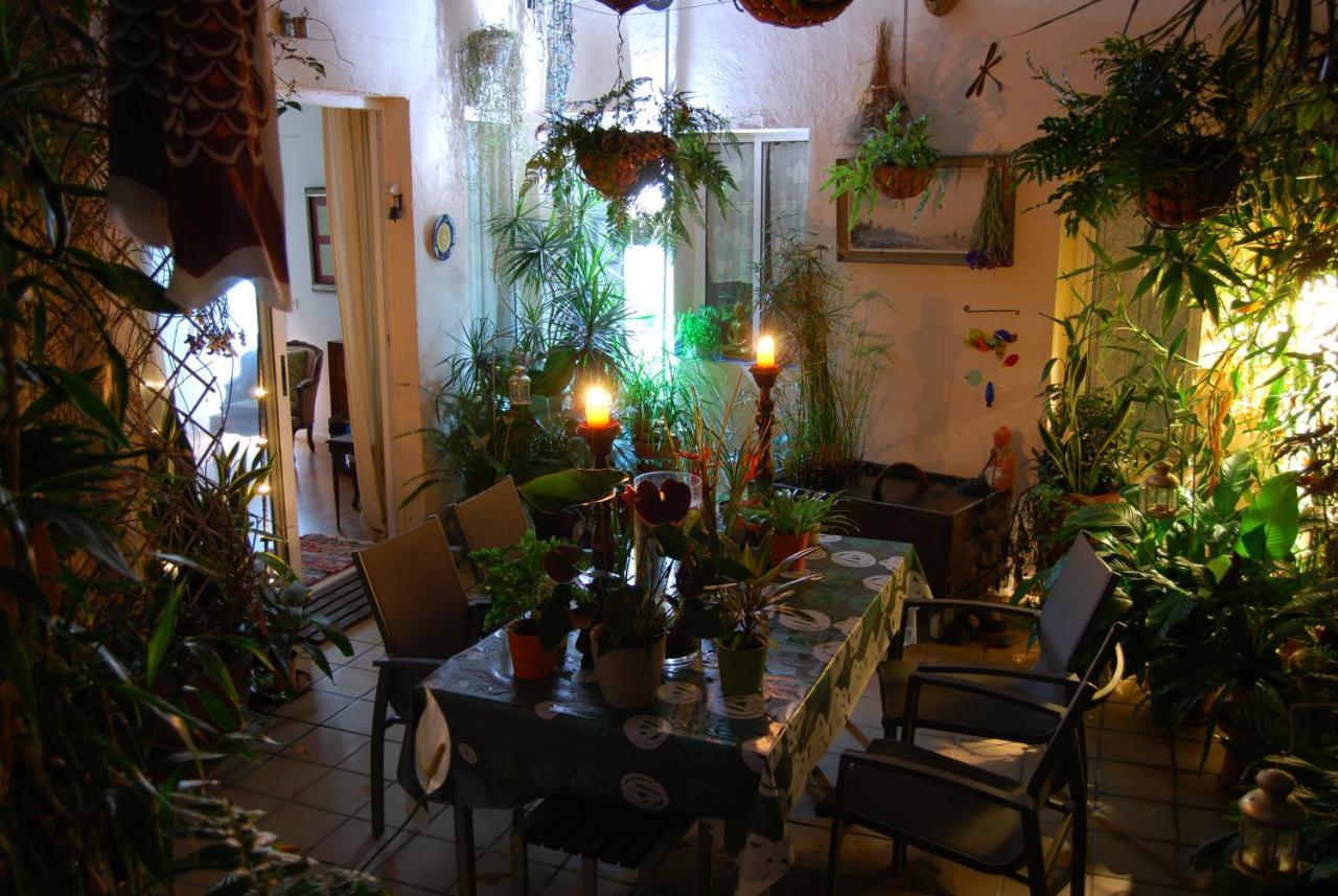 Casa Tesalia