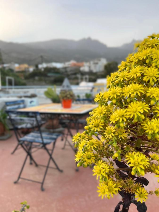 Casa Tesalia Holiday home Guimar