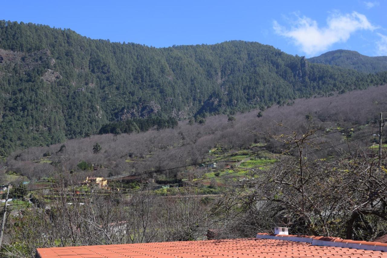 Juli * Santa-Cruz de Ténérife