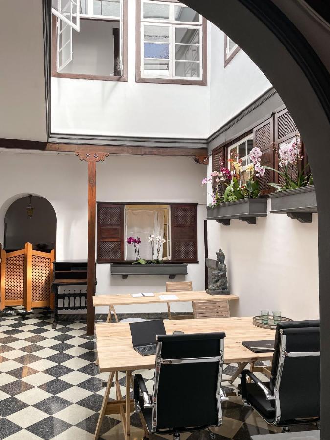 Gato Azul - Coliving La Orotava