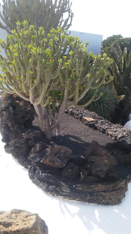 La Casita Ma Petite Folie Tenerife