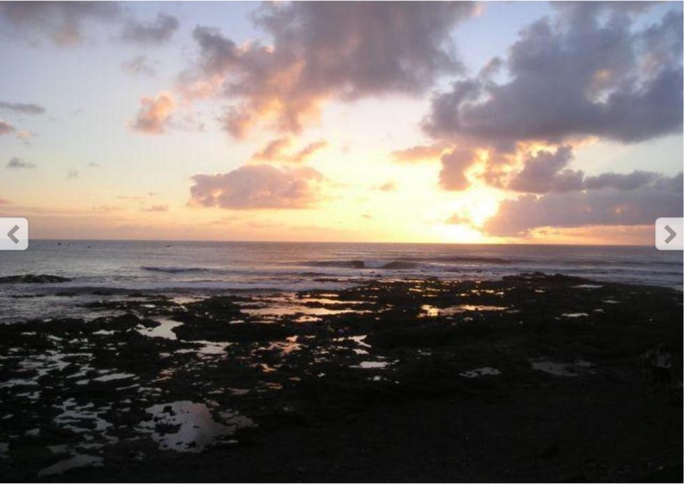In Bajamar Near Coast * La Laguna (Tenerife)